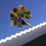 minolta digital camera