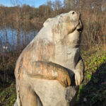 Logbuch biber unterbacher see