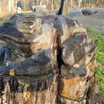 Logbuch frosch unterbacher see